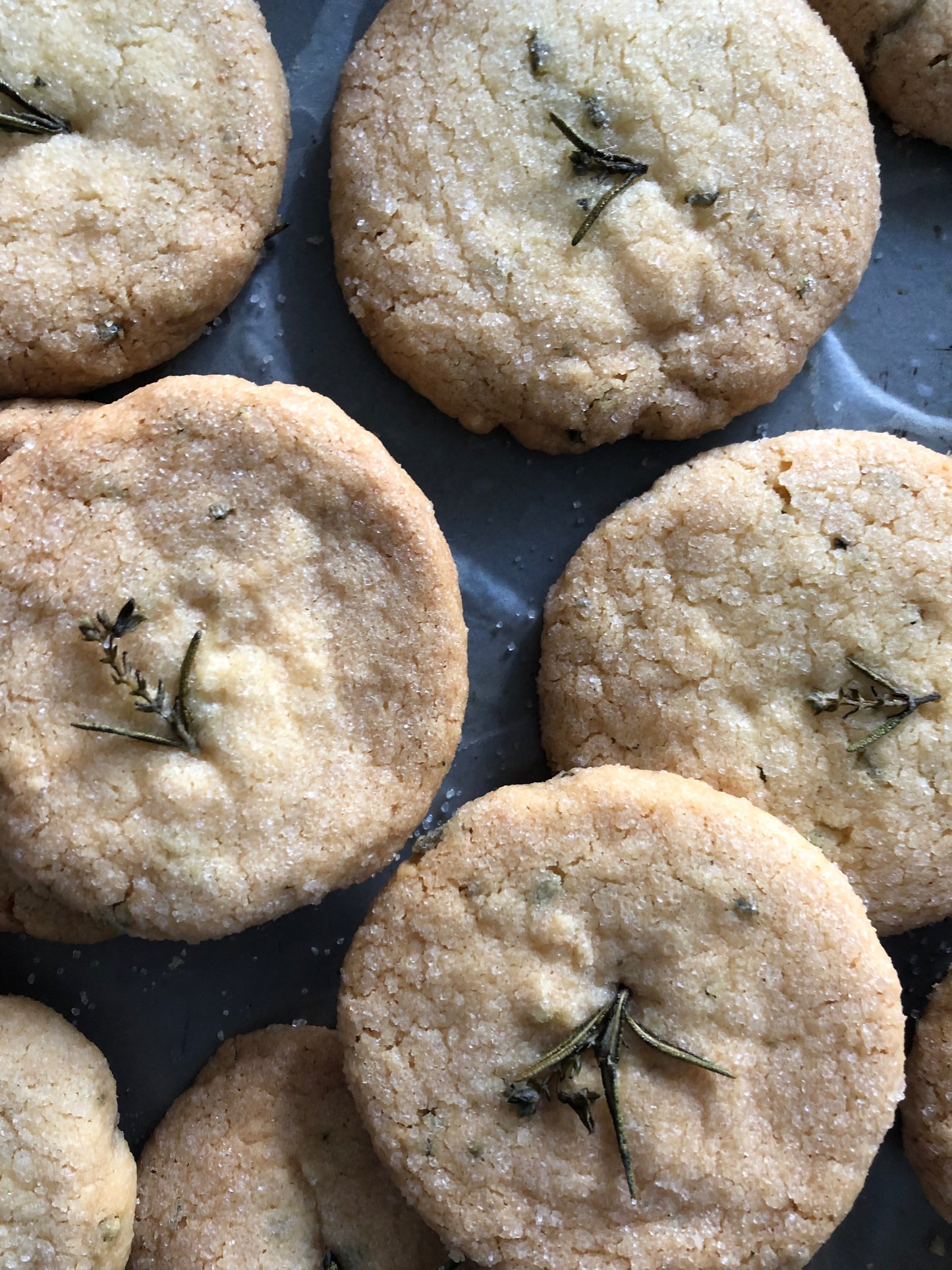 Thyme Shortbread Cookies